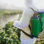 Les raisons qui vous pousseront à diminuer l’utilisation de pesticides